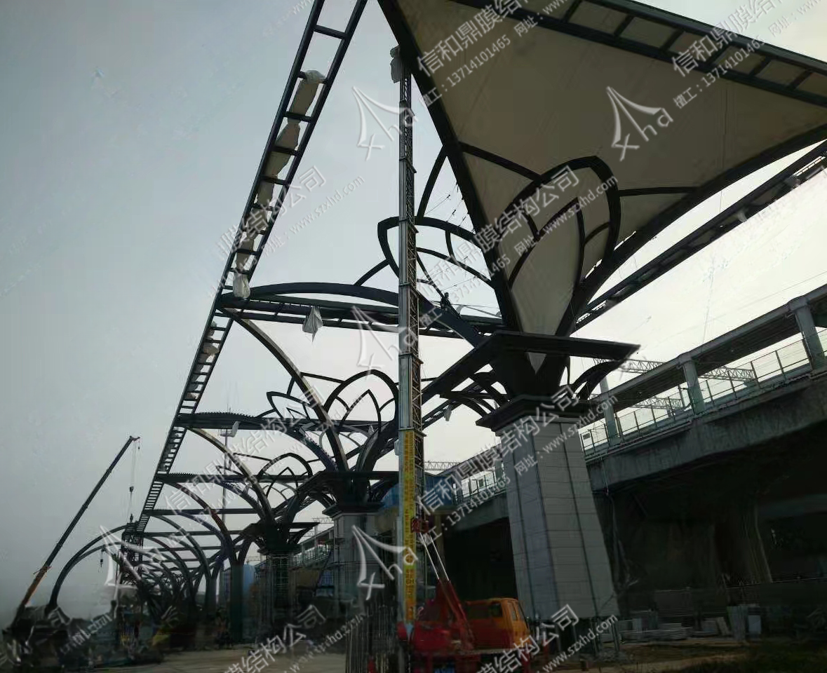 膜结构景观棚图片