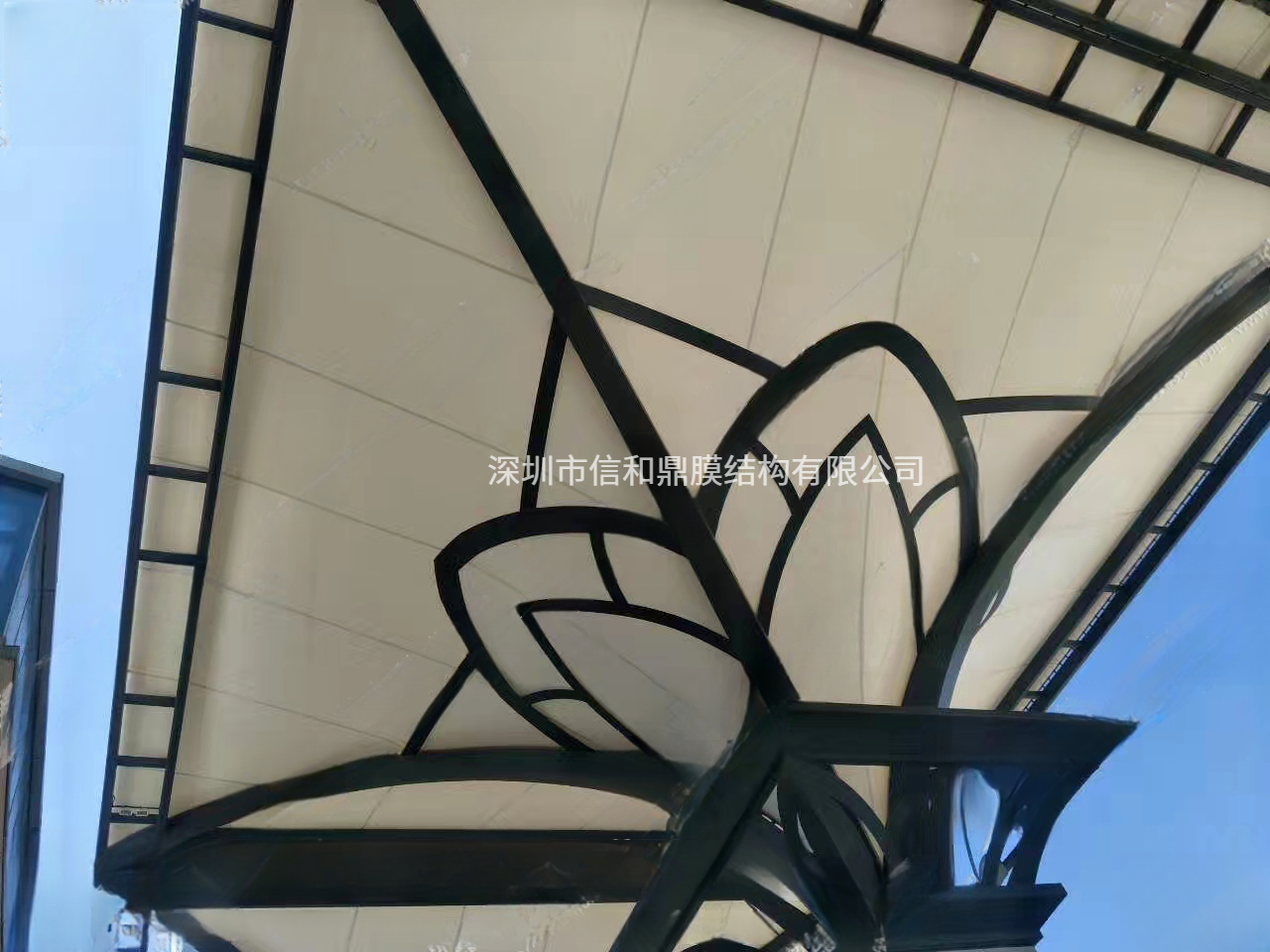 ptfe膜结构遮阳棚