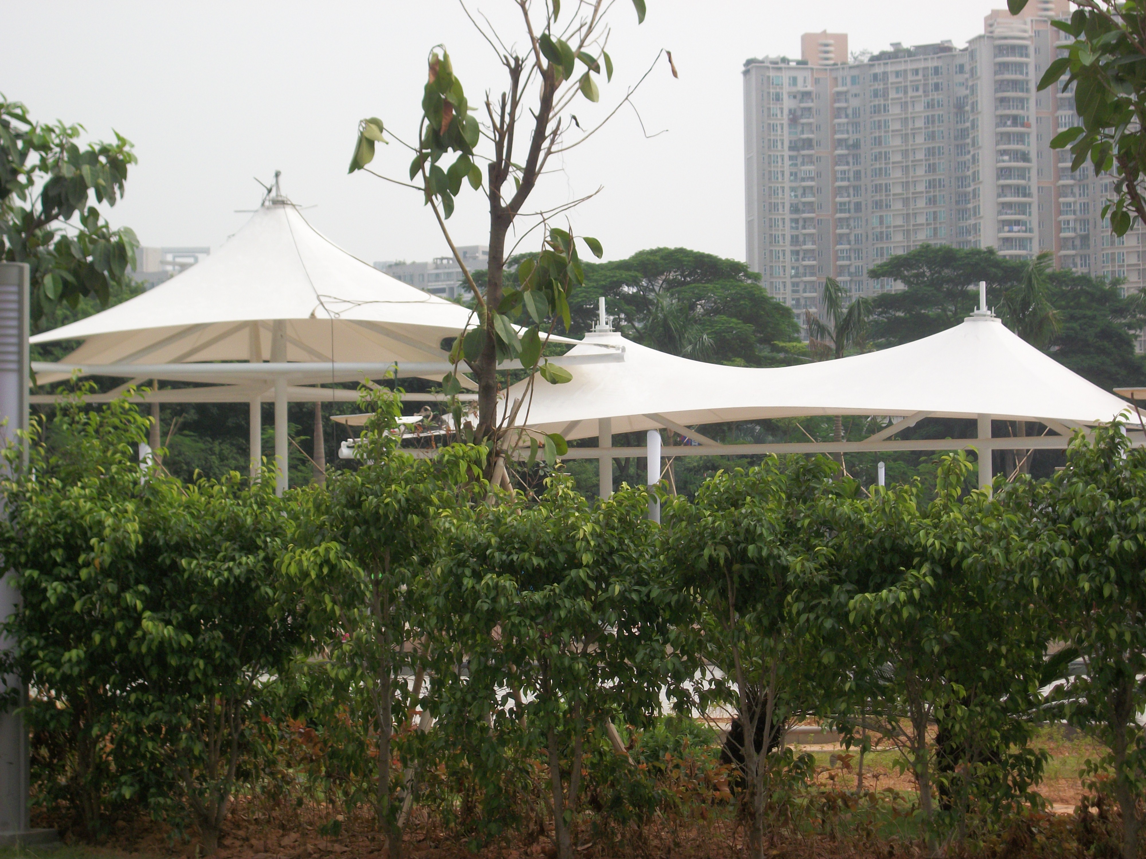 张拉膜结构遮阳棚图片